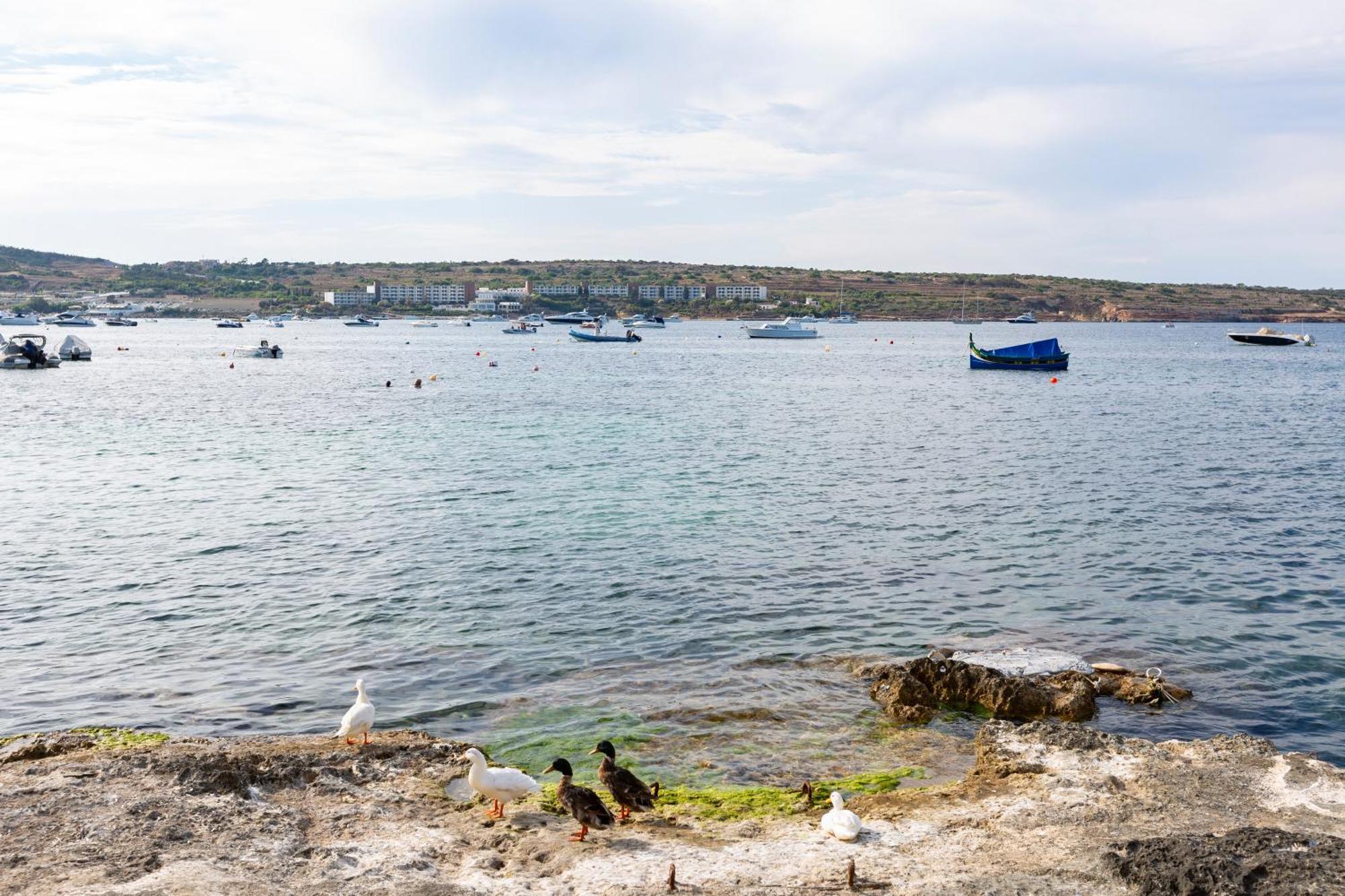 Ne1 - Lovely 2 Bedroom Apartment. Perfect Location Mellieħa Eksteriør billede